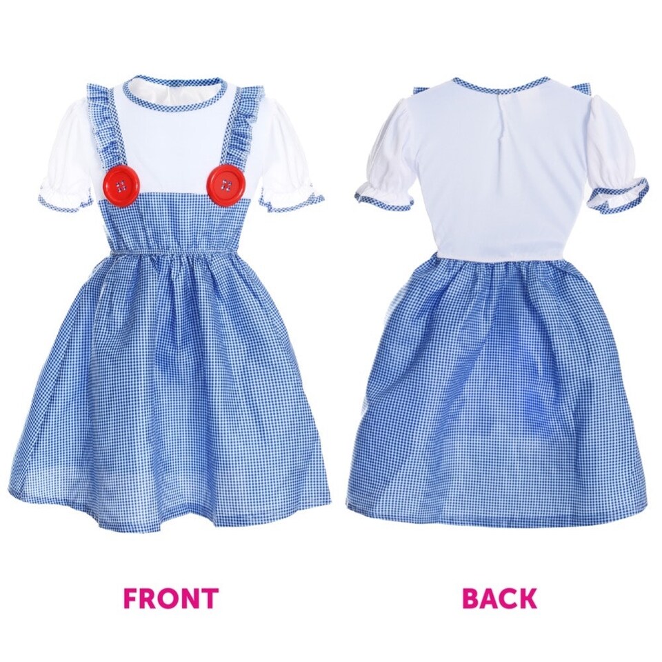 image 1 of Kansas Girl Costume - Dress, Dog, Basket & Brown Plait Wig Blue | 2XL