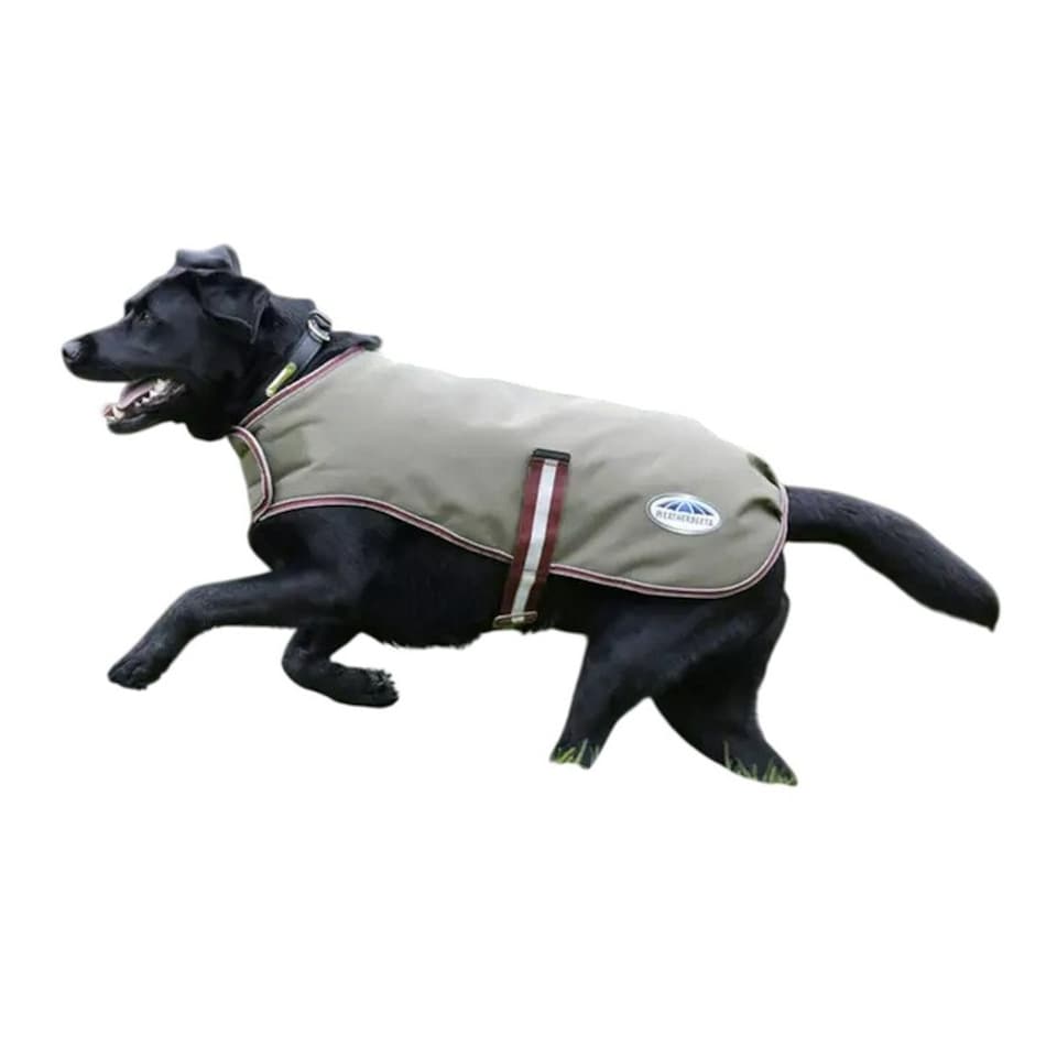 image 1 of Weatherbeeta Comfitec Premier Free Parka Medium Dog Coat - Dark Blue/Grey/White/Bright Purple - 25cm