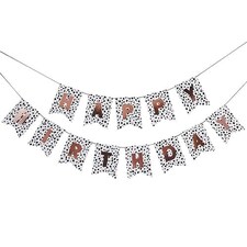 Dalmatian Happy Birthday Cardboard Letter Banner 200cm