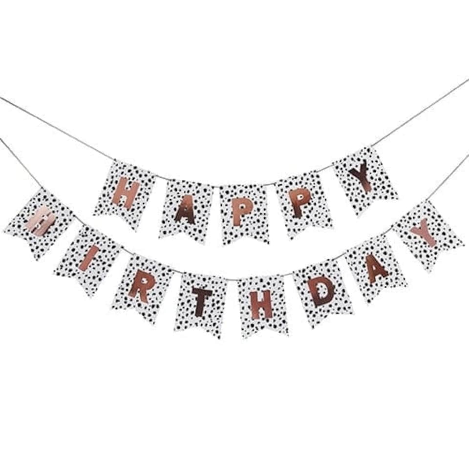 image 1 of Dalmatian Happy Birthday Cardboard Letter Banner 200cm