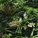 image 2 of True Products Combo Set of 3 Premium Artificial Living Wall Green Plant Panel 1m x 50cm Florence A B C