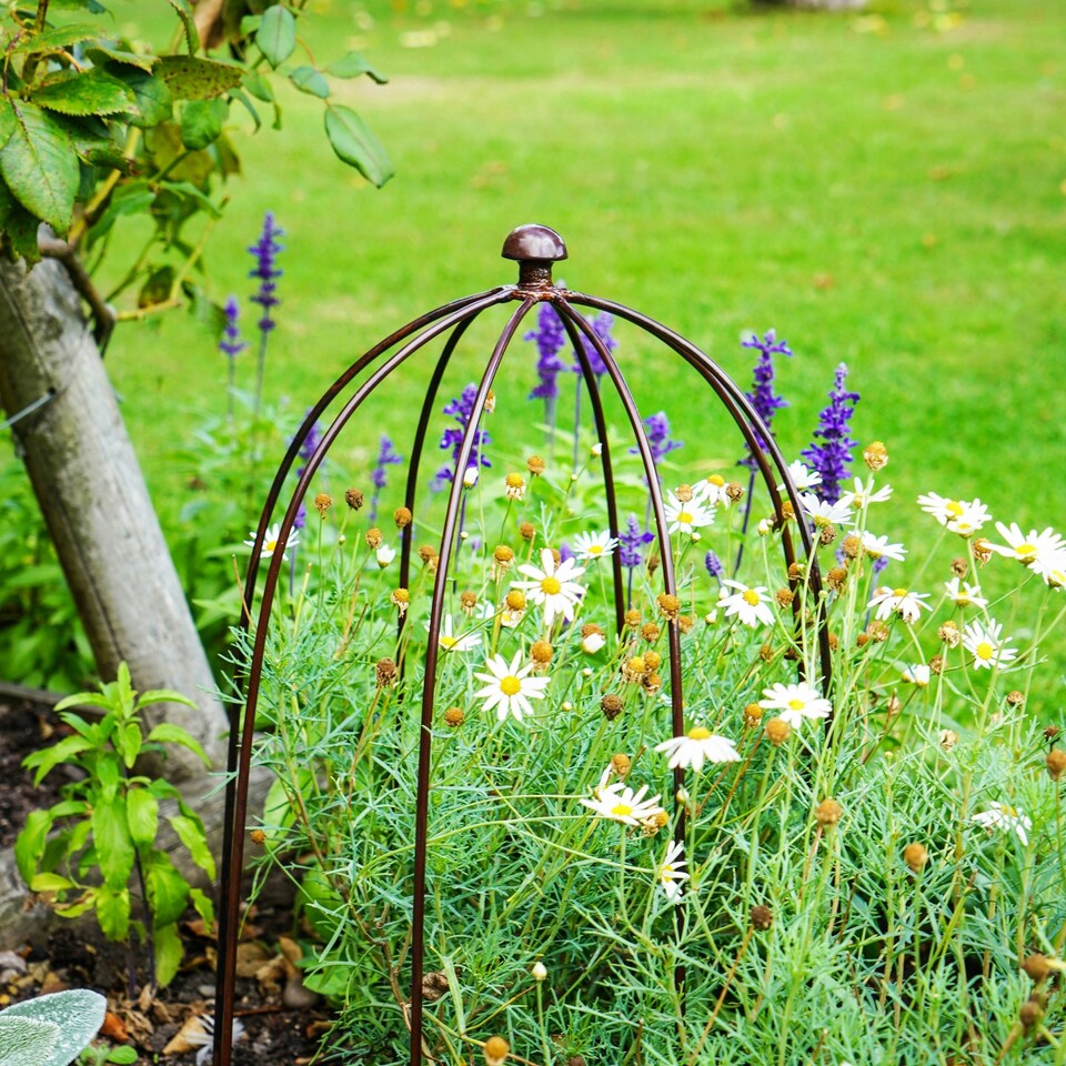 image 1 of Outdoor Plant Support Rust