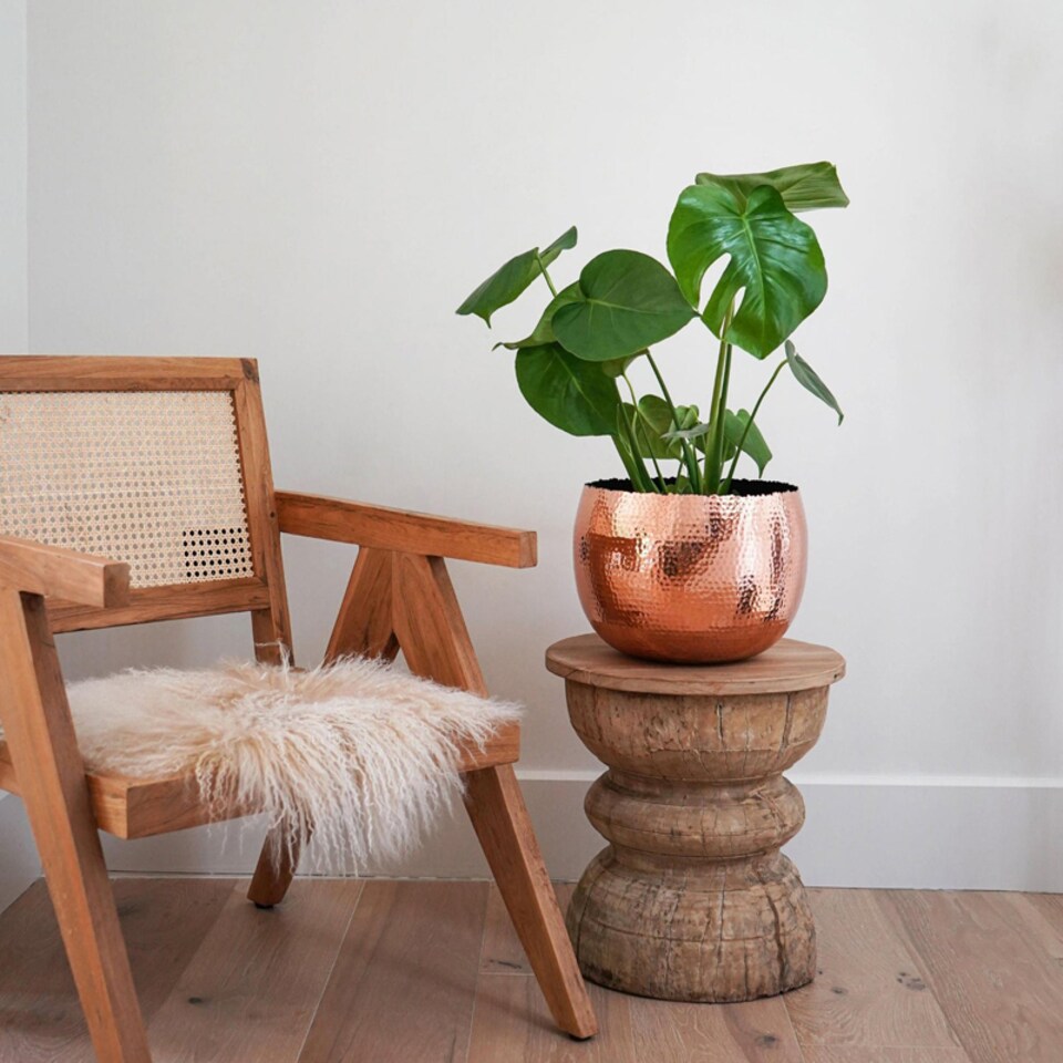 image 1 of Hammered Bowl Planter - Iron - L19 x W19 x H14 cm - Copper | Copper