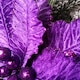 image 5 of 76cm Purple Velvet Poinsettia Stem with Glitter Christmas Decoration