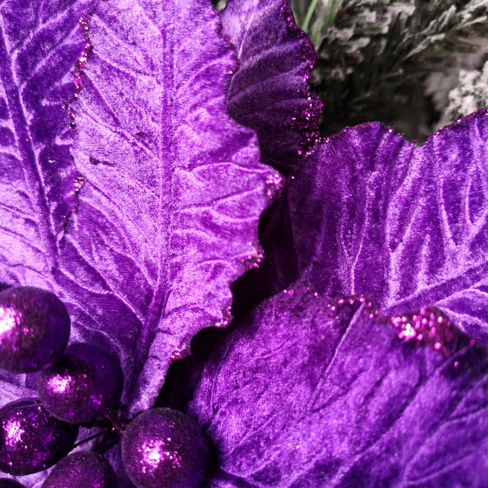 image 1 of 76cm Purple Velvet Poinsettia Stem with Glitter Christmas Decoration