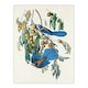 image 3 of John James Audubon Framed Wall Art Florida Jay and Persimmon Tree Home Décor