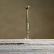 image 5 of Timco - C2 Clamp-Fix Premium Clamping Multi-Purpose Screws - TX - Double Countersunk - Yellow (Size 5.0 x 50 - 600 Pieces)