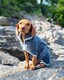 image 4 of Henry Wag Grey Microfibre Drying Coat For Use After Bath Time Or A Muddy Walk, Size X-Large 65cm | Grey | Grey | XL | 1