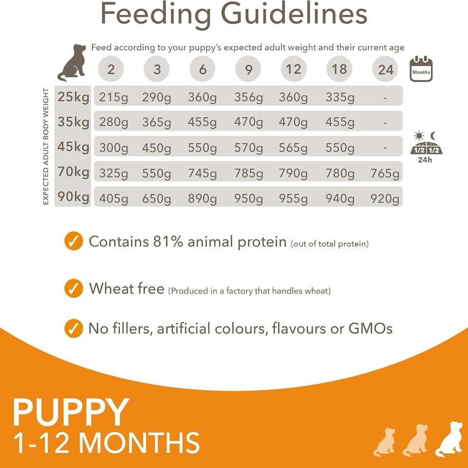 image 1 of IAMS Complete Dry Dog Food for Puppy Large Breeds with Chicken 12 kg