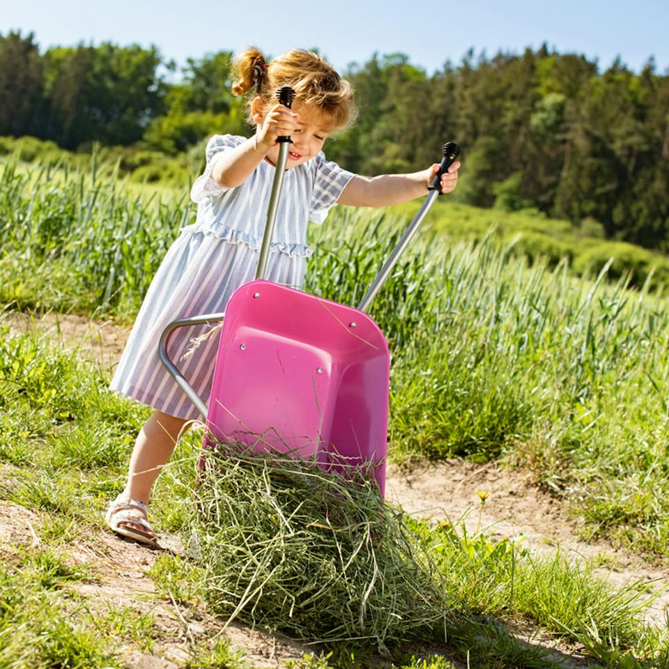 image 1 of Rolly Childs Pink Metal Wheelbarrow