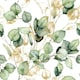 image 2 of Eucalyptus Green Wallpaper Green