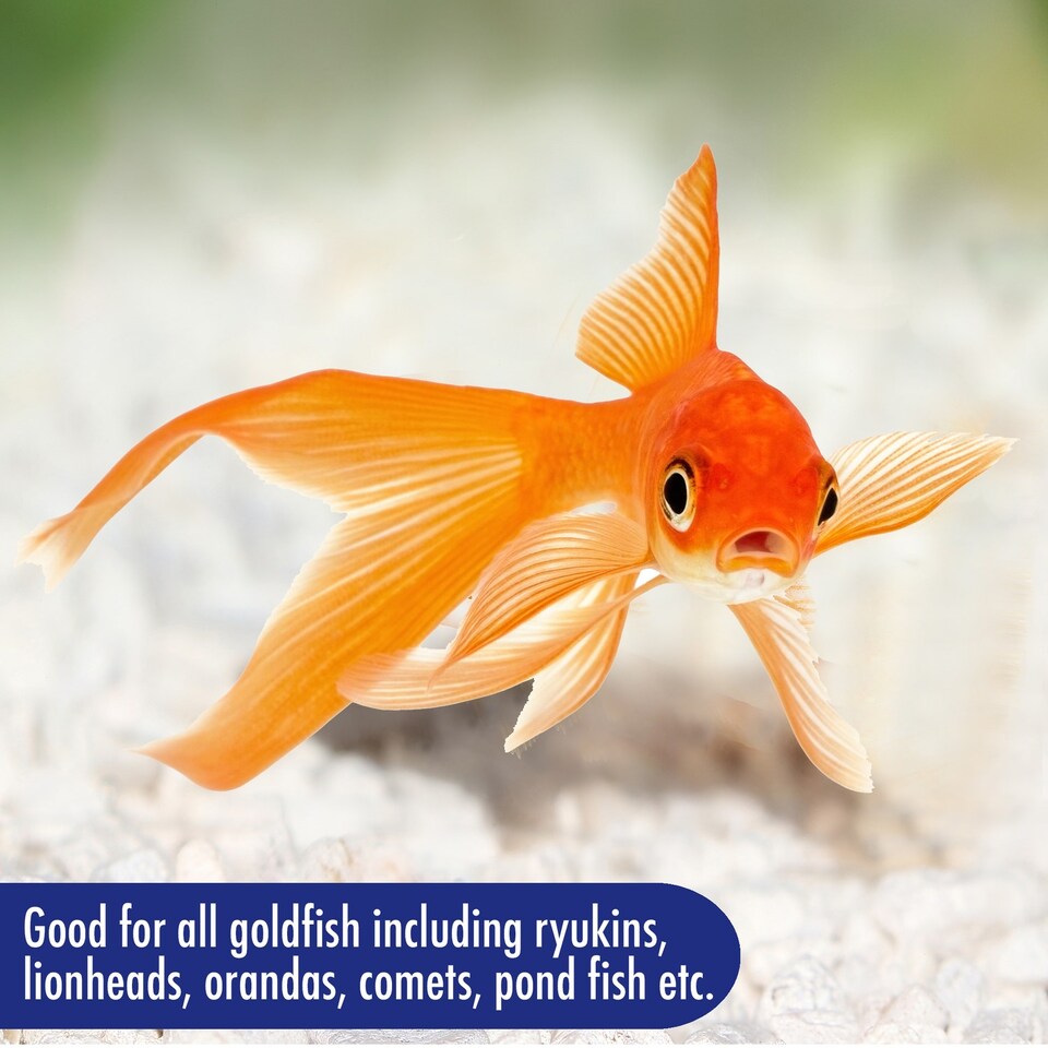 image 1 of Aquarian Goldfish Food Flakes 200g Pack of 6 Aquarium Fish Food Fish Feeding Supplies