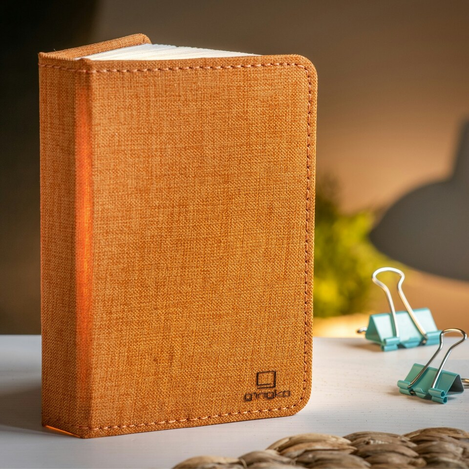 image 1 of Gingko LED Mini Smart Book Desk Light N/A | Orange