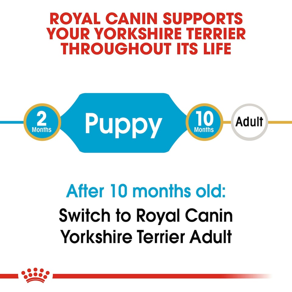 image 1 of ROYAL CANIN Yorkshire Terrier Puppy Dry Dog Food