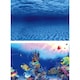 image 3 of Superfish Deco Poster F (Sea/Reef) N/A | 60cm x 49cm