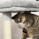 image 8 of PawHut Cat Tree with Scratch Post Condo Perch for Indoor Cats, 85cm, Grey