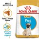 image 1 of Royal Canin Pug Puppy Dry Dog Food - 4 x 1.5 kg (6 kg) | Multi | 4 x 1.5kg | Turkey | 4