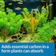 image 4 of API CO2 Booster Freshwater Aquarium Plant Treatment 473 ml Bottle | Multi