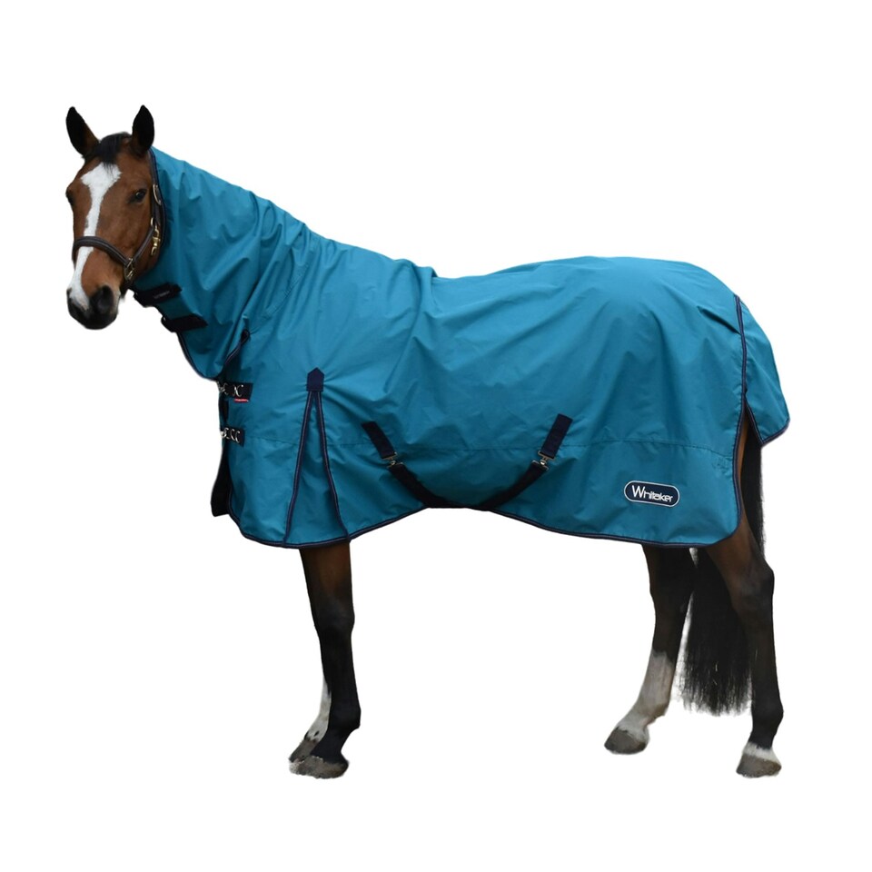 Whitaker Rastrick Fixed Neck Horse Turnout Rug - Turquoise - 6´ 3"