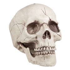 Skull Jawbone with Movable Jaw Halloween Prop Decoration 16cm