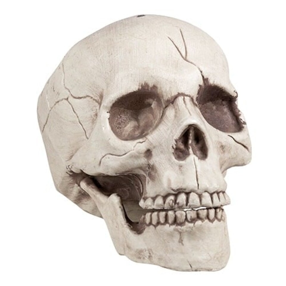 Skull Jawbone with Movable Jaw Halloween Prop Decoration 16cm