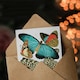 image 3 of Eugene Seguy Art Card Vintage Butterflies Blue and Orange
