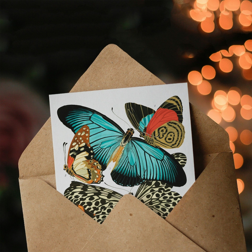 image 1 of Eugene Seguy Art Card Vintage Butterflies Blue and Orange