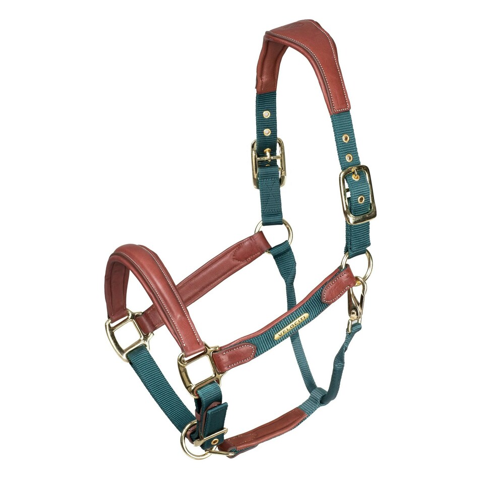 Velociti Lusso Leather Padded Horse Headcollar - Green - Full