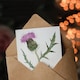 image 3 of Single Scottish Thistle Flower Bloom Watercolour Thank You Card
