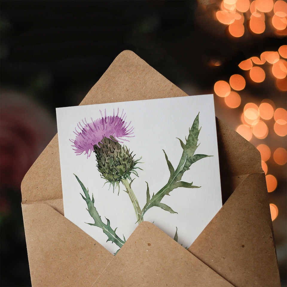 image 1 of Single Scottish Thistle Flower Bloom Watercolour Thank You Card