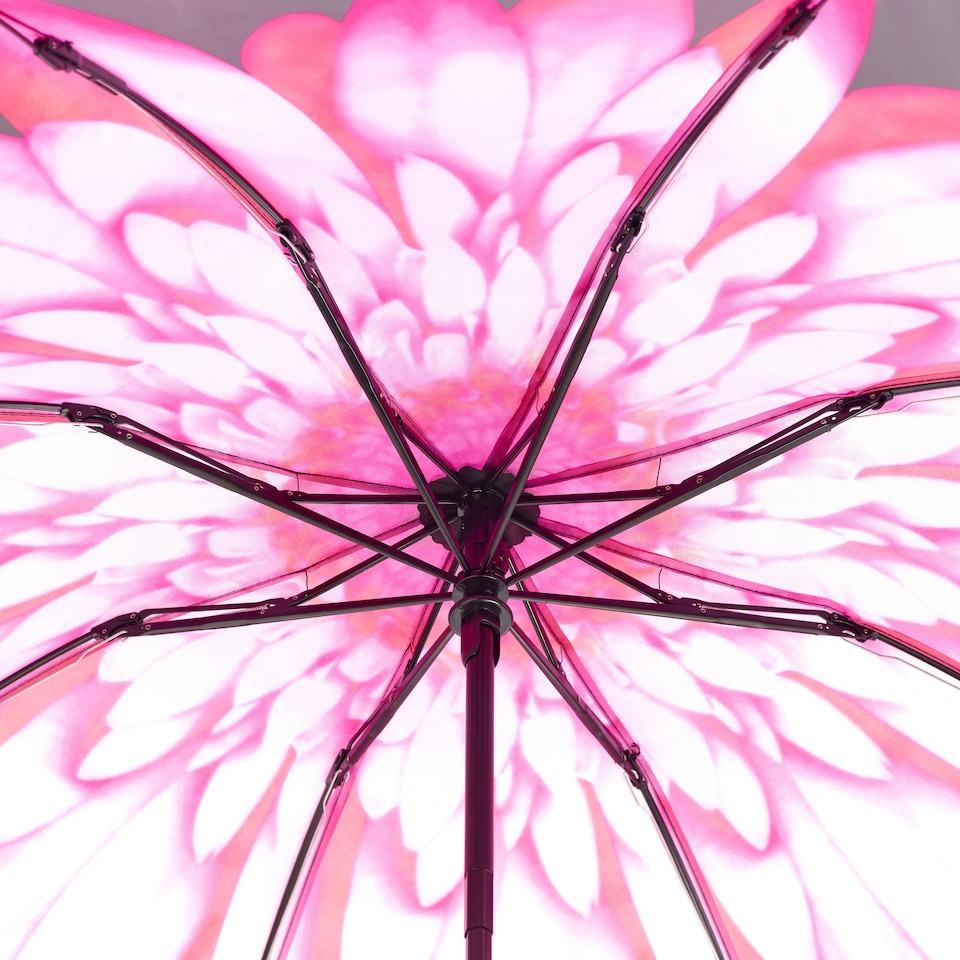 image 1 of Everyday Folding Umbrella Automatic Opening Reverse Daisy | Black | Pink | Canopy: 100cm