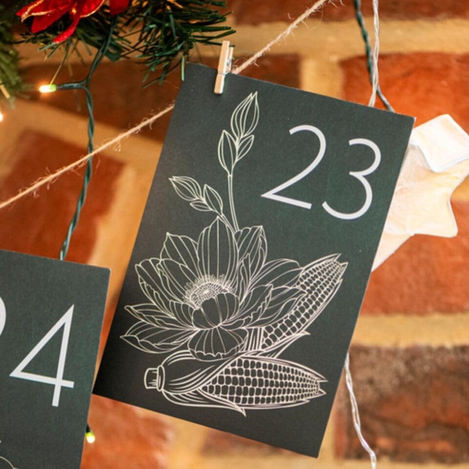 image 1 of Gift Advent Calendar Flower Seeds x 1
