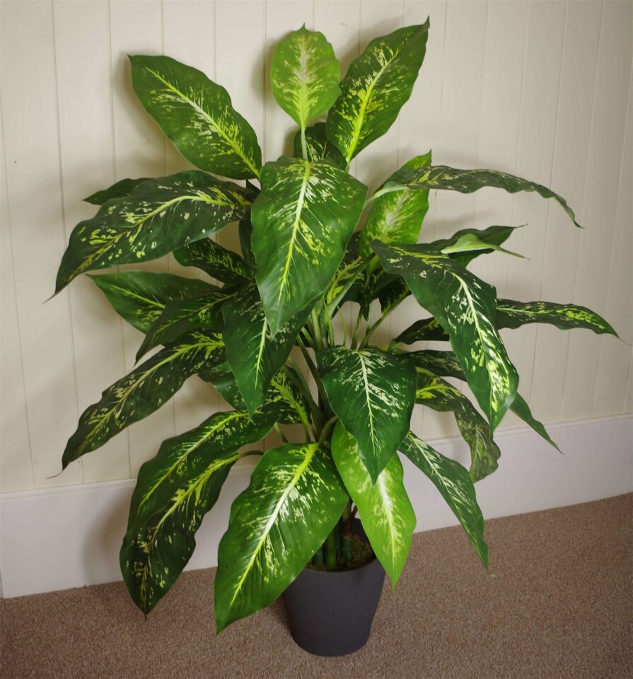 image 1 of 100cm Large Fox's Aglaonema (Spotted Evergreen) Tree Artificial Plant | Green | 3ft