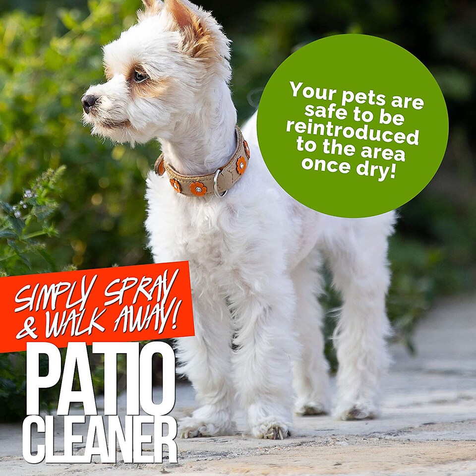 image 1 of Pro-Kleen Patio Cleaner Ready to Use Simply Spray & Walk Away Green Mould and Algae Remover 20L