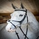 image 9 of LeMieux Grackle Bridle Black | Full