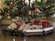 image 10 of Polar Express Mini Train set