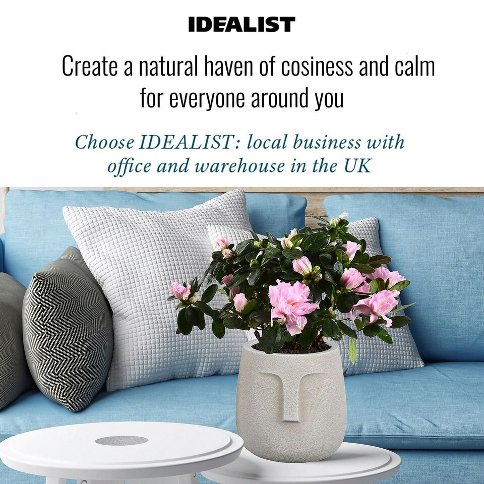 image 1 of Textured Concrete Effect Beige Oval Face Planter Indoor L30.5 D29.5 H29.5 cm, 13.9 ltrs Cap.