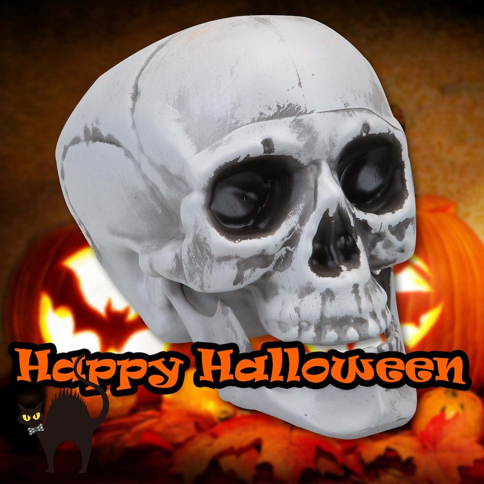 image 1 of PMS Large Skull Decoration with Moving Jaw - 19cm White