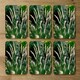 image 3 of decorative cat tail grass growing along a walkway (Placemat & Coaster Set)