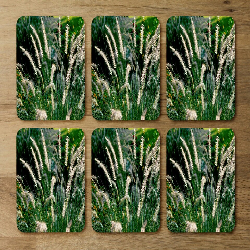 image 1 of decorative cat tail grass growing along a walkway (Placemat & Coaster Set)