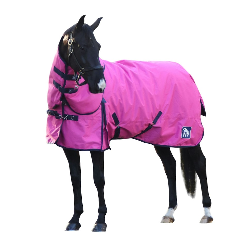 Whitaker Combo Neck Contrast Detail 150g Horse Turnout Rug - Pink/Navy - 6´ 9"