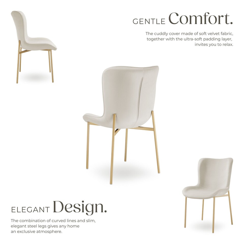 image 1 of Dining Chair Tessa - ergonomic high backrest, slim steel legs, soft fabric | Cream | Velvet look beige/gold | 1