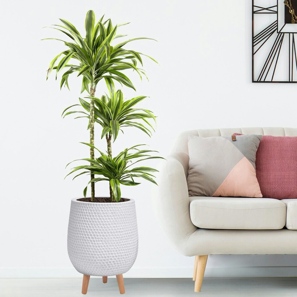 image 1 of Honeycomb Style White Planter with Legs, Round Indoor Plant Pot Stand for Indoor Plants by Idealist Lite D30 H43 cm, 19L