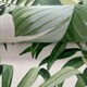 image 3 of Fine Decor A-Street Palm Leaf Wallpaper - Green/Cream - 32.1ft x 21in Green