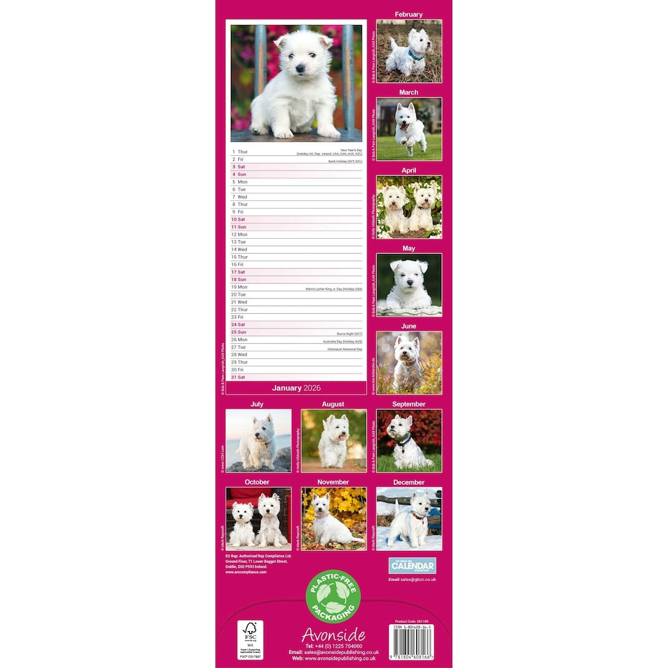image 1 of West Highland Terrier Slim 2026 Calendar | Slimline Wall Calendar | Dog Breed Gift | Plastic Free Packaging | Avonside Publishing Ltd