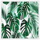 image 1 of Palm leaves (Picture Frame) White | S