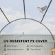 image 6 of Outsunny Large Walk-in Greenhouse Poly Tunnel Galvanised Garden Plants Grow Tent