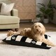 image 1 of OHS Dog Paw Print Soft Plush Plump Cosy Autumn Pumpkin Stripe Leopard Pet Bed Cushion, 80x60cm Multi | Mono - Stripe | L