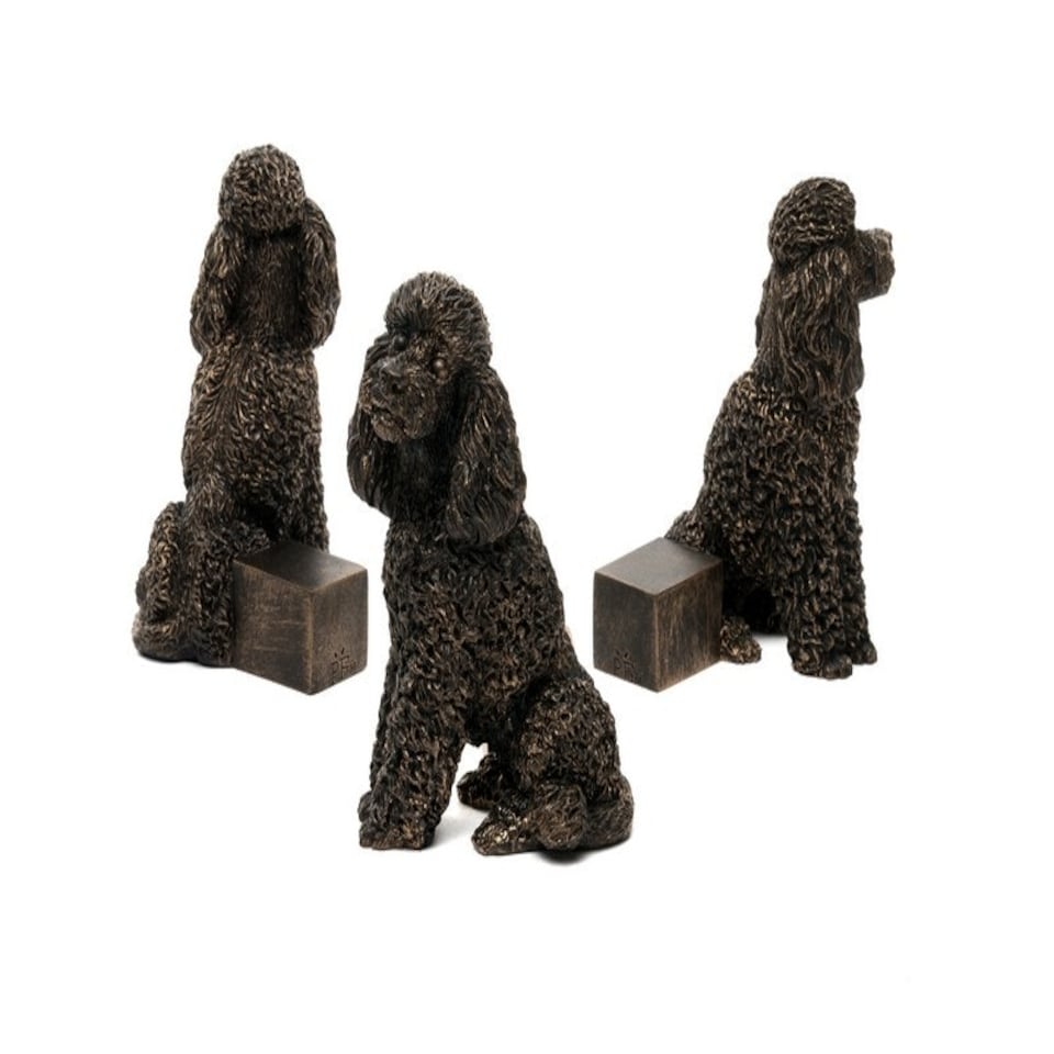 image 1 of Poodle Plant Pot Feet - Set of 3 - L8 x W4.5 x H9.5 cm Brown