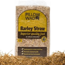2 x 2KG Barley Straw Bedding For Chickens, Rabbits & Tortoise